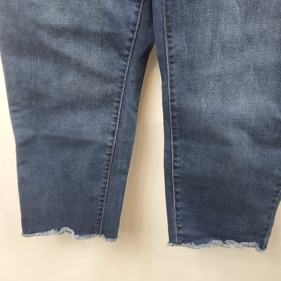 Time and Tru Stretch Ankle Mid Rise Sz 18 Blue Distressed Double Button Jeans - Picture 3 of 11